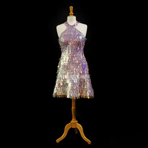 Dress worn by Strictly Winner auctioned for charity